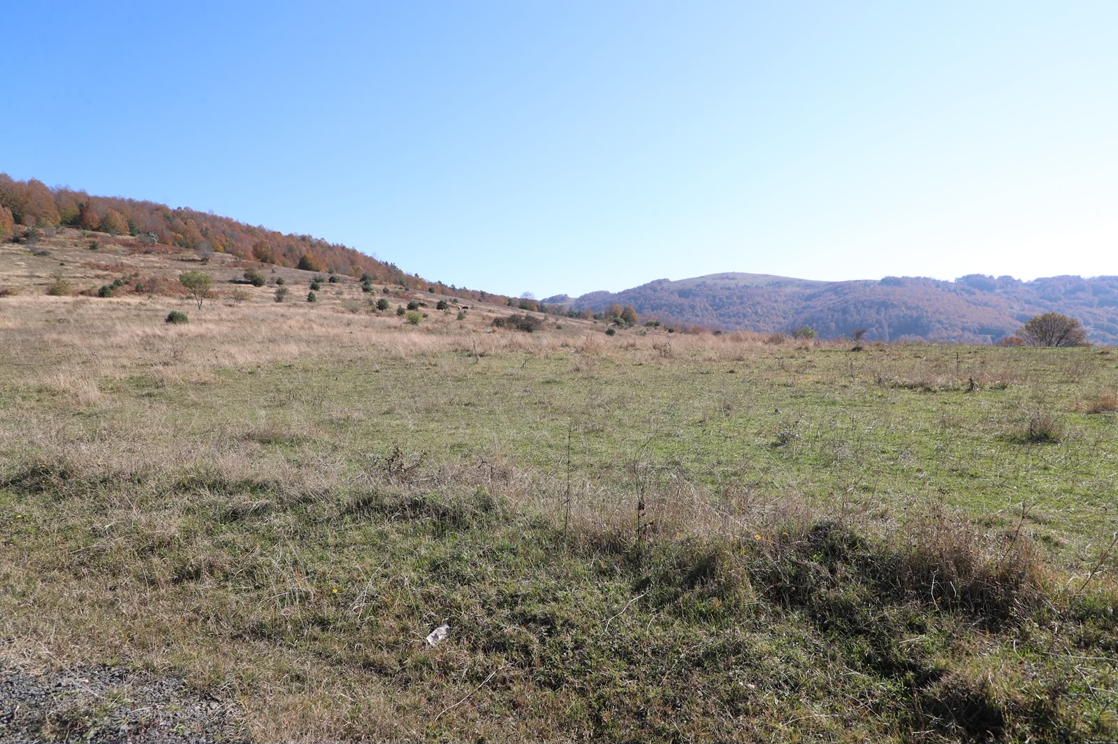 Ordu'nun Akkuş ilçesine yeni OSB kurulması planlanıyor